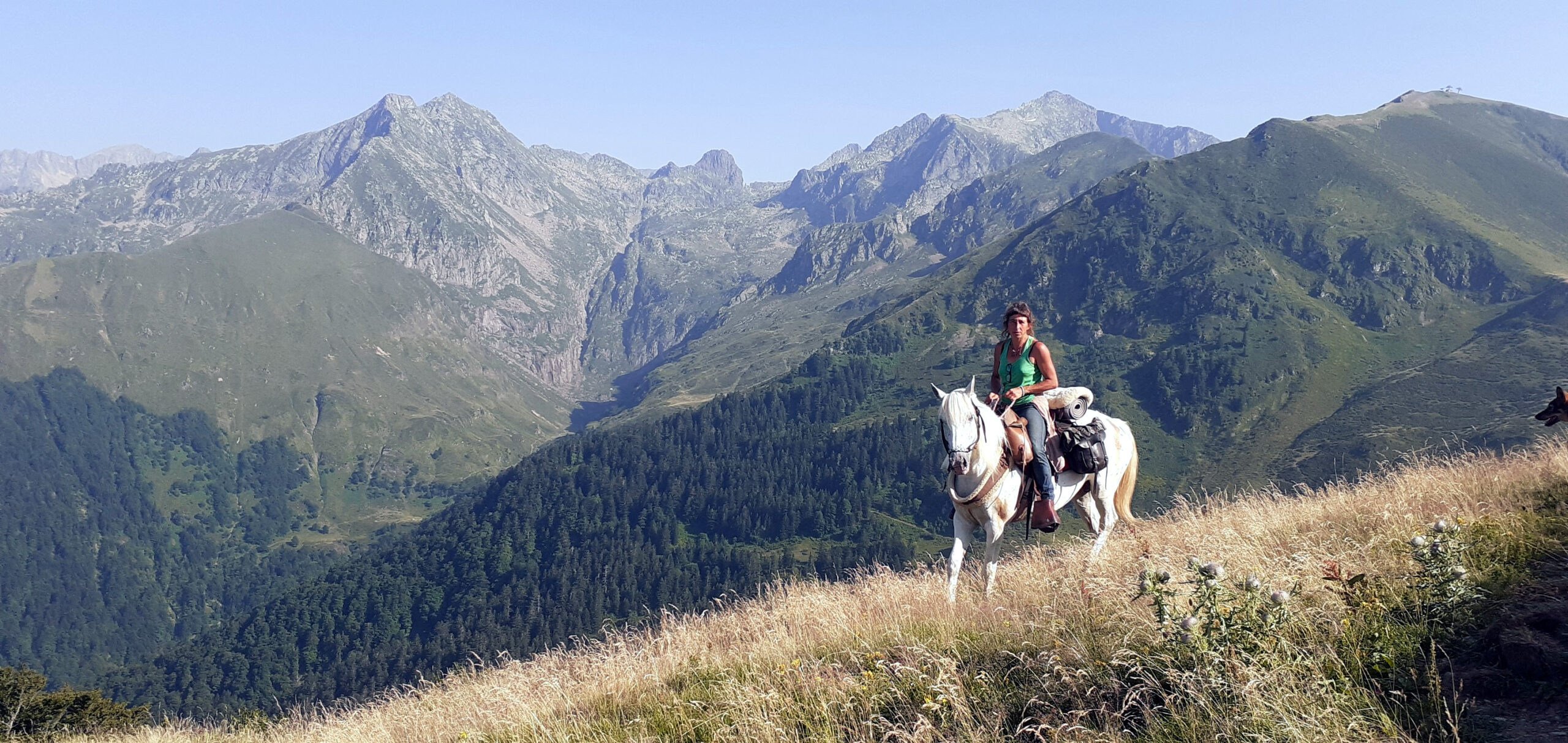 Vivre la relation avec le Cheval sous toutes ses facettes