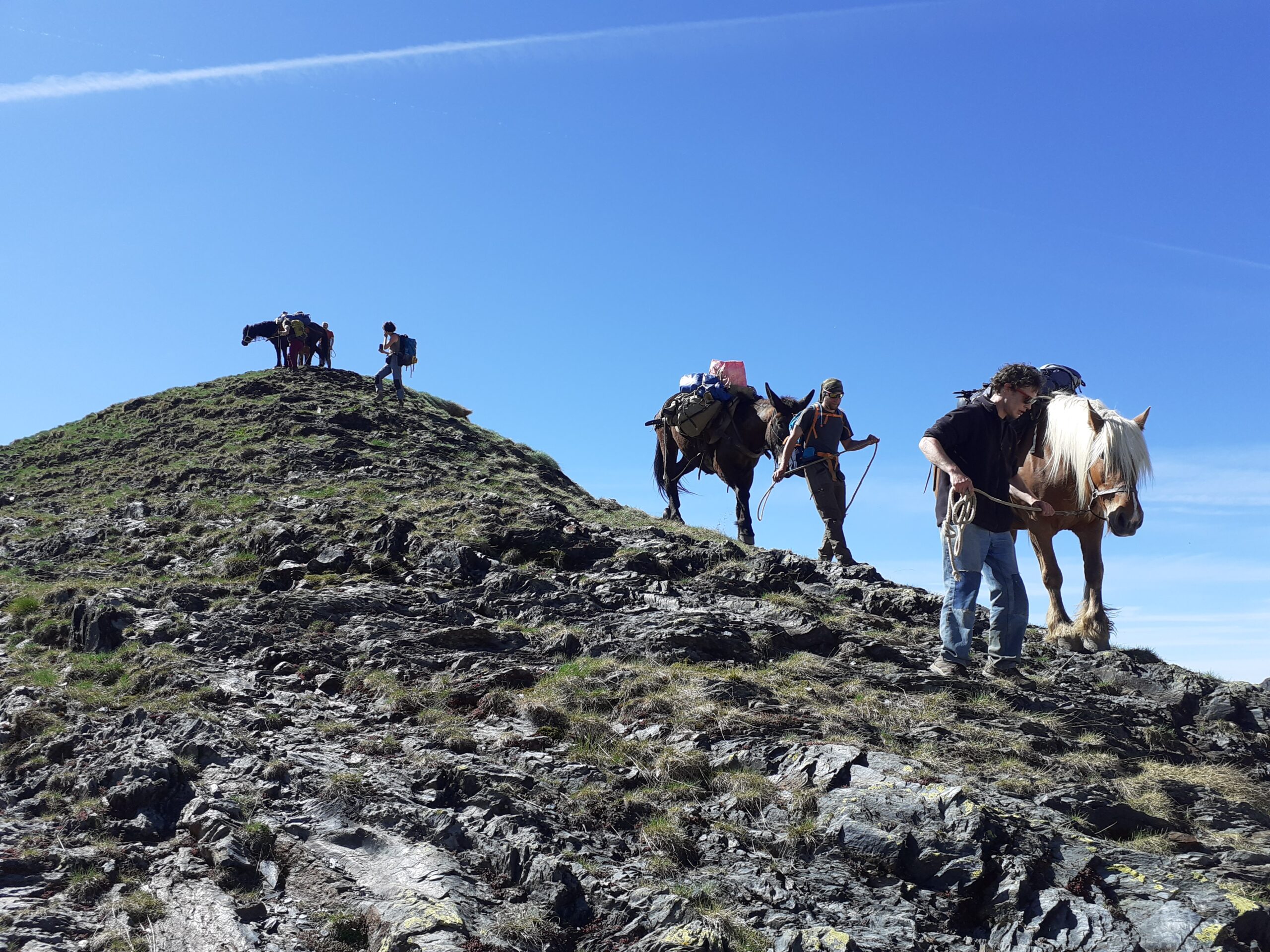 Randonnée à cheval sur mesure